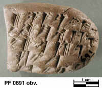 Persepolis Fortification Tablet in CU1.jpg (82728 bytes)
